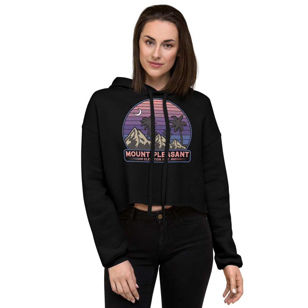 Mount Pleasant Elevated Crop Hoodie