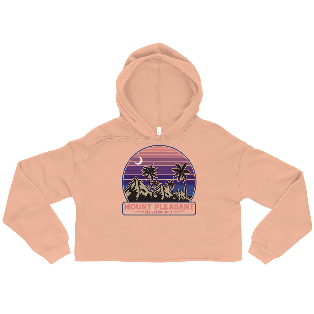 Mount Pleasant Elevated Crop Hoodie