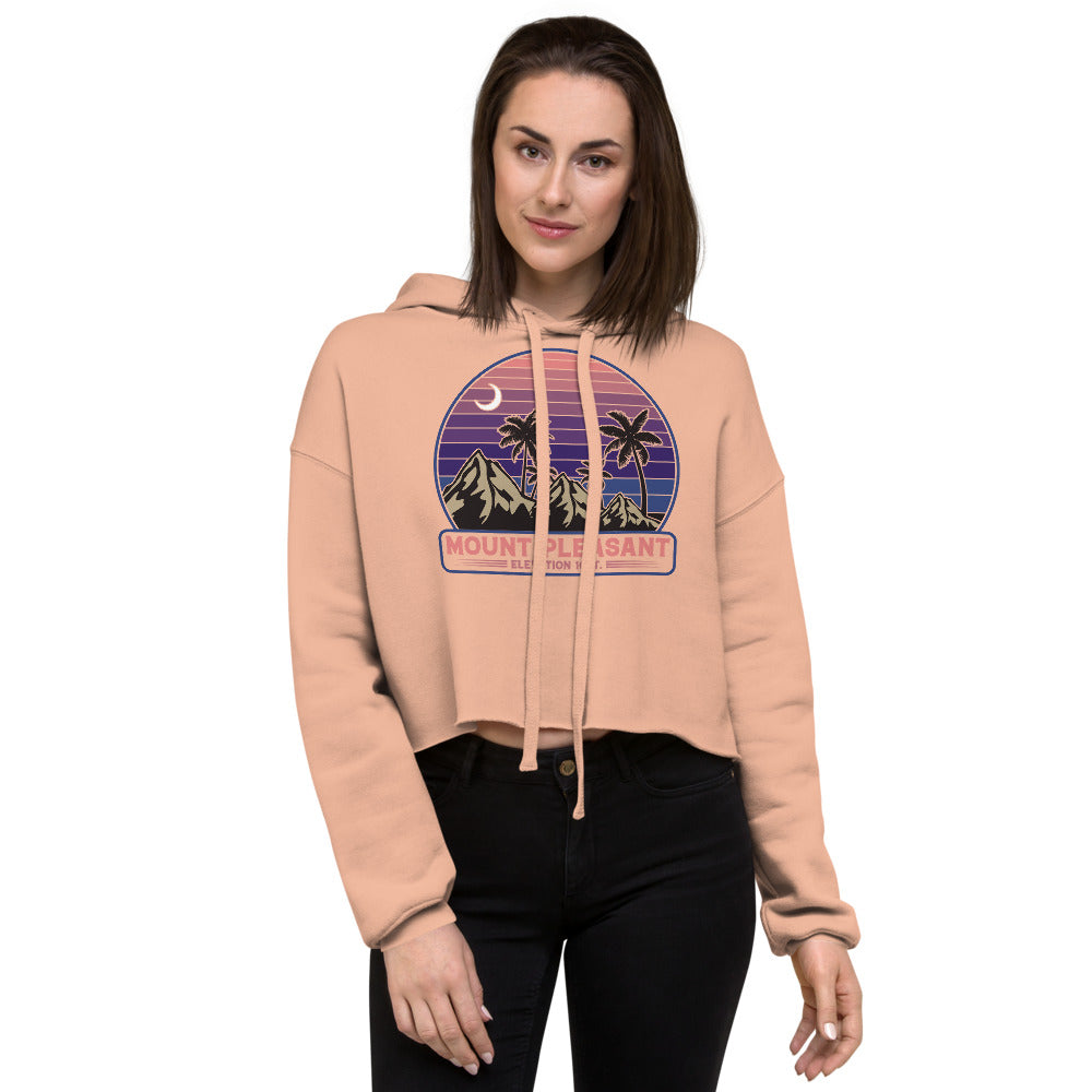 Mount Pleasant Elevated Crop Hoodie