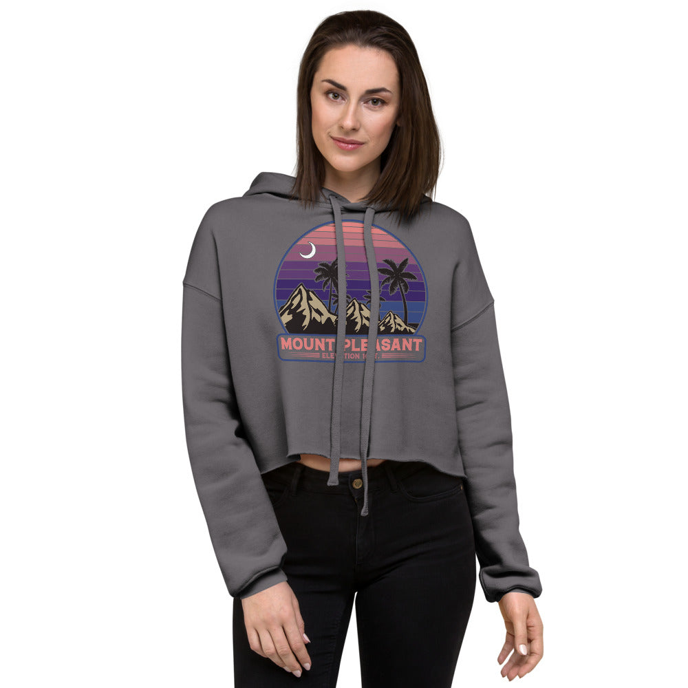 Mount Pleasant Elevated Crop Hoodie