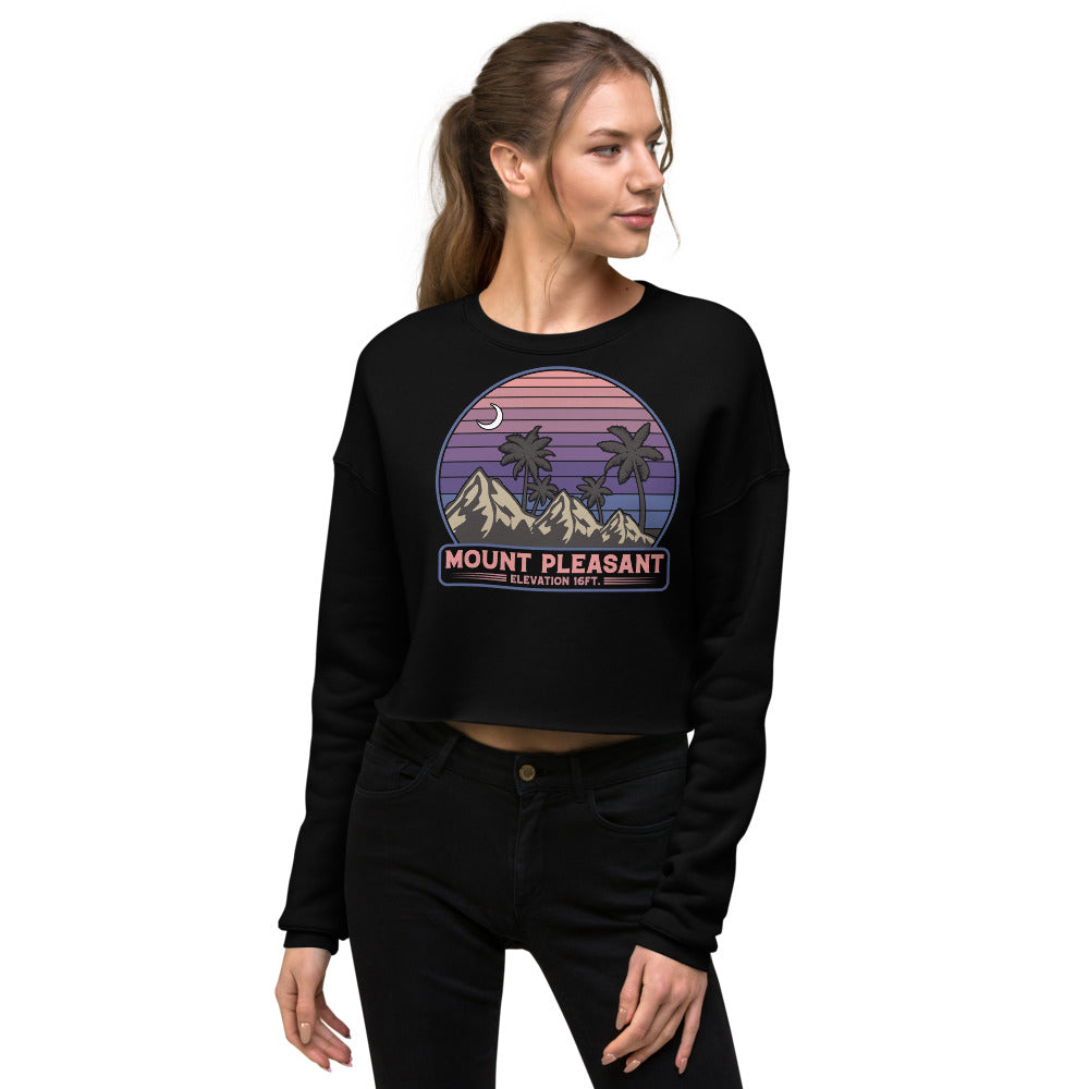 Mount Pleasant Elevated Crop Sweatshirt