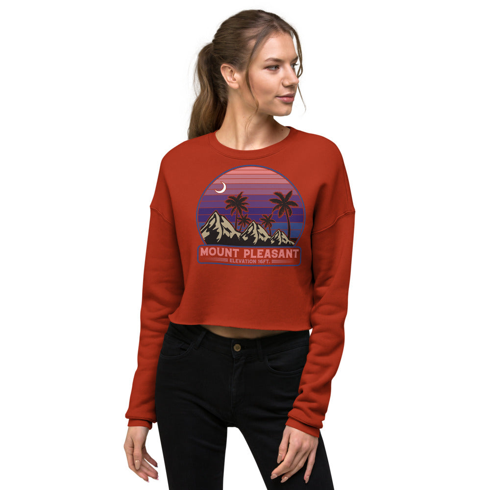 Mount Pleasant Elevated Crop Sweatshirt